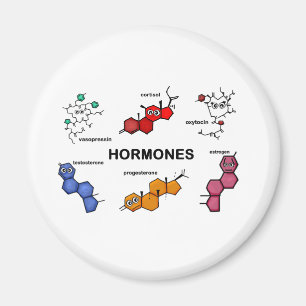 Hormones Magnet