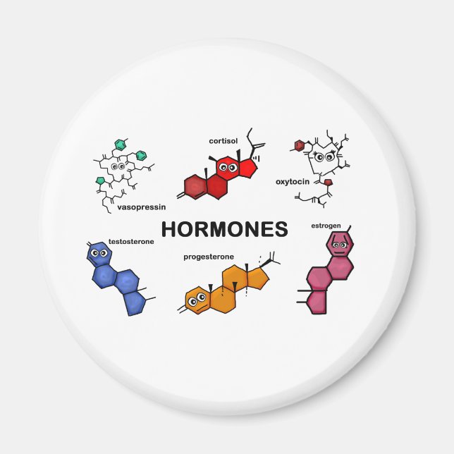 Hormones Magnet (Front)