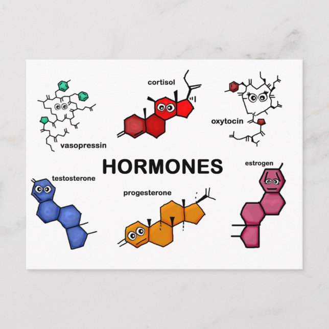 Hormones Postcard (Front)