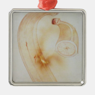 Horn Plantain Metal Tree Decoration