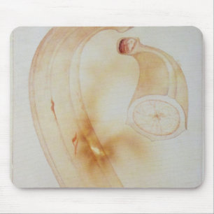 Horn Plantain Mouse Pad