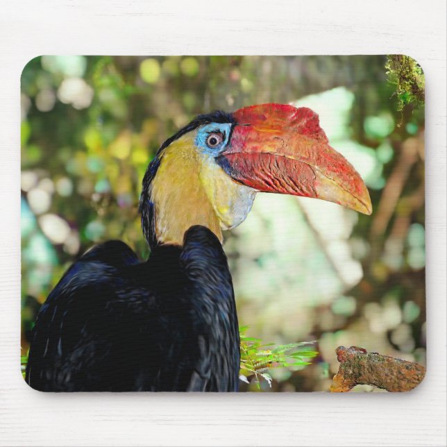 Hornbill  mouse pad (Front)