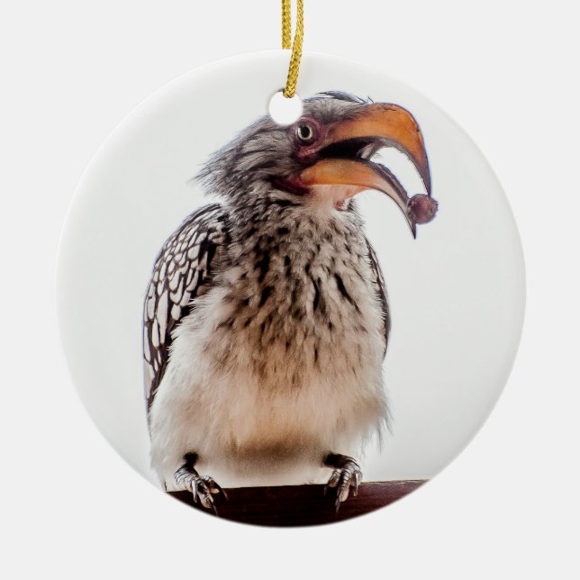 Hornbill with seed in mouth ceramic tree decoration (Front)