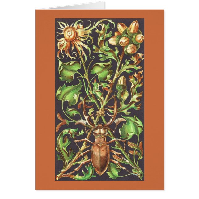 Horned Beetle in Brown (Front)