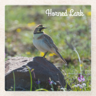 Horned Lark Glass Coaster