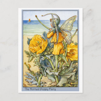 Horned Poppy  Fairy Postcard