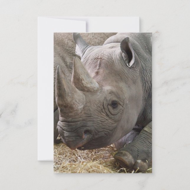Horned Rhino Invitations (Front)