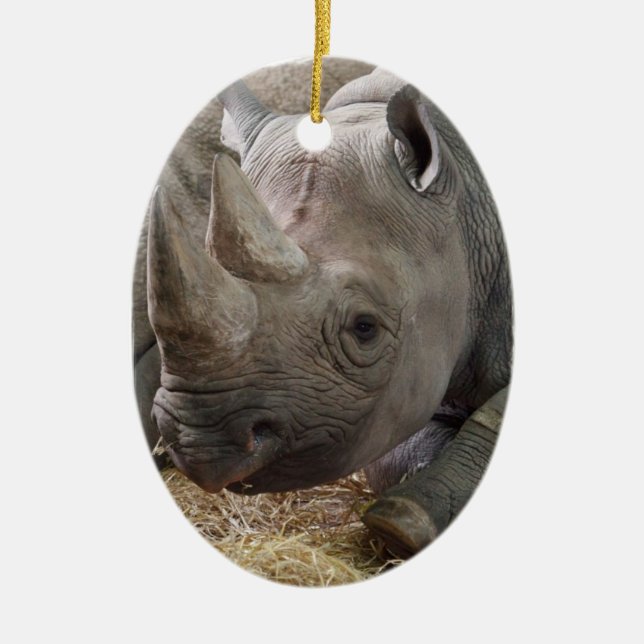 Horned Rhino Ornament (Front)
