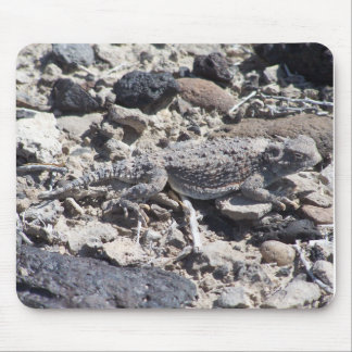 horned toad mouse pad