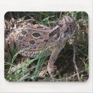 horned toad mouse pad