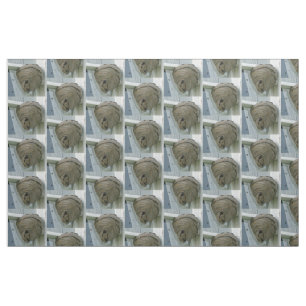 Hornets Nest Fabric