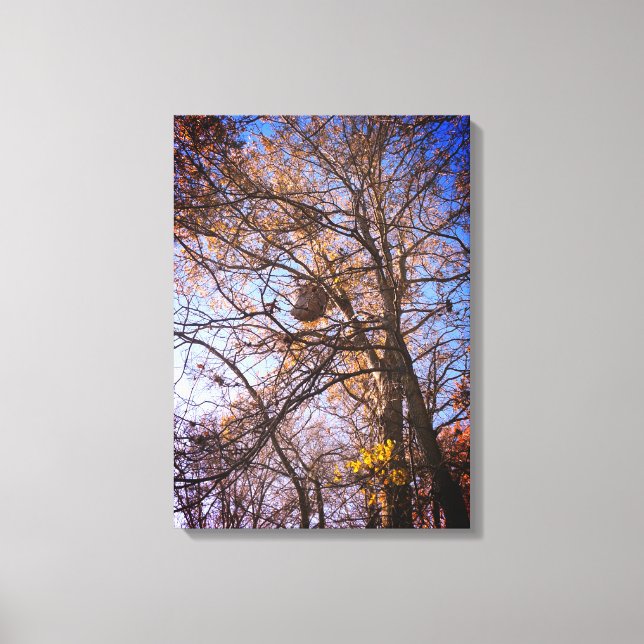 Hornets Nest on canvas Print (Front)