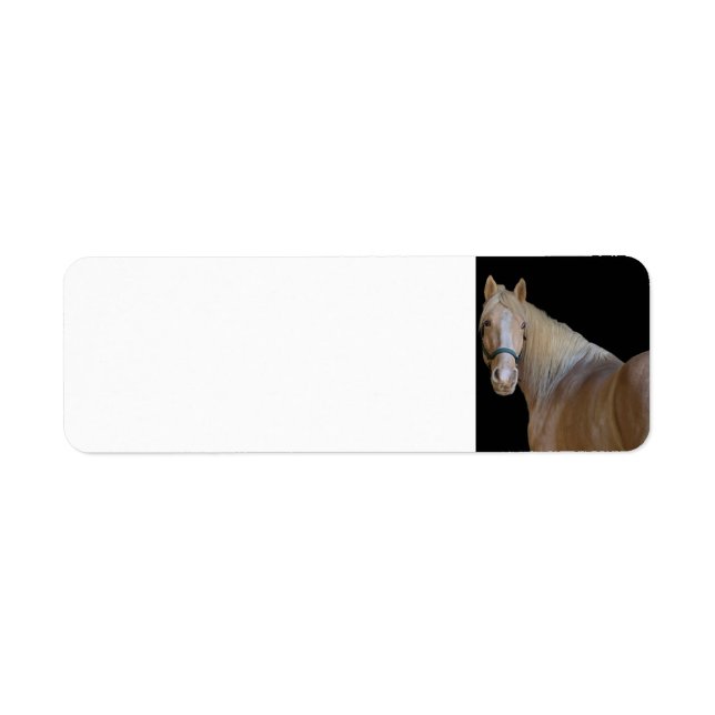 Horse (Front)