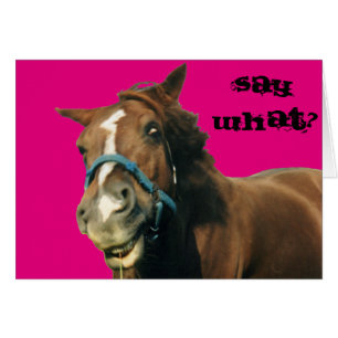 Horse