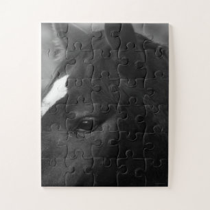Horse 11x14 30pc jpcn jigsaw puzzle