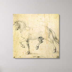 Horse, 1503 (pen and ink on paper) canvas print