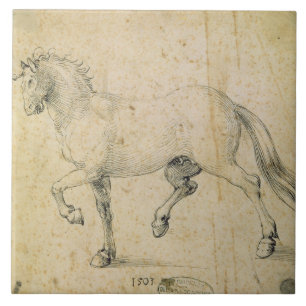 Horse, 1503 (pen and ink on paper) tile