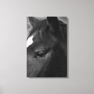 Horse 16x24 (40x60cm) waccnm canvas print
