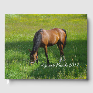 Horse #1 guest book