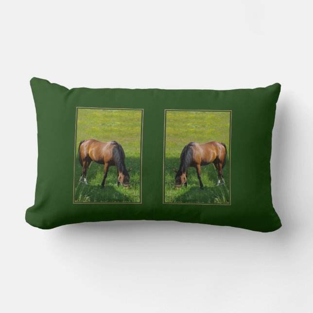 Horse #1 lumbar cushion (Front)
