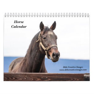 Horse 2026 calendar