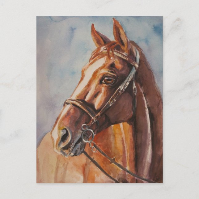 Horse 2 postcard (Front)