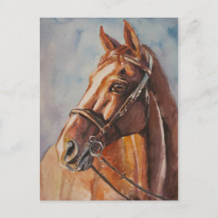 Horse 2 postcard