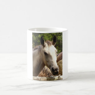 Horse 4 Mug