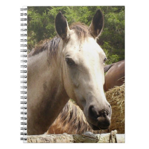 Horse 4 Notebook