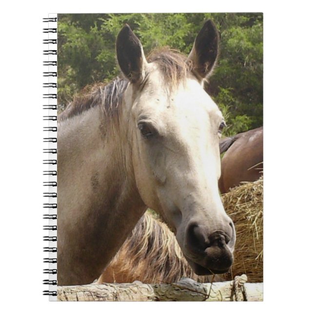 Horse 4 Notebook (Front)