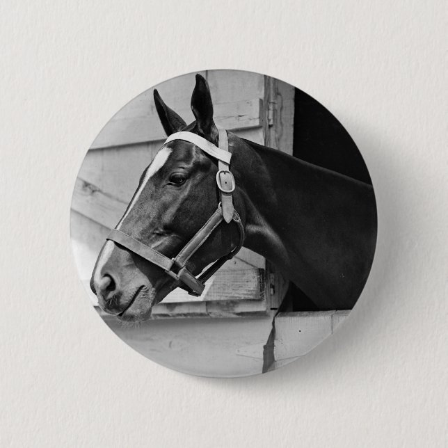 Horse 6 Cm Round Badge (Front)