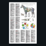 Horse Acupuncture Point Location Poster<br><div class="desc">For Veterinarians, Veterinary Acupuncturists and Horse Owners Transpositional equine acupuncture point location poster 24" X 36". The poster shows over 170 most commonly used points in horse acupuncture. Anatomical point locations with treatment indications for each point. The transpositional system is the nomenclature accepted by the International Veterinary Acupunctre Society (IVAS)....</div>