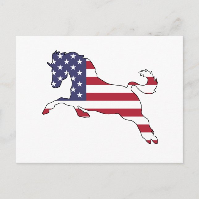 Horse "American Flag" Postcard (Front)