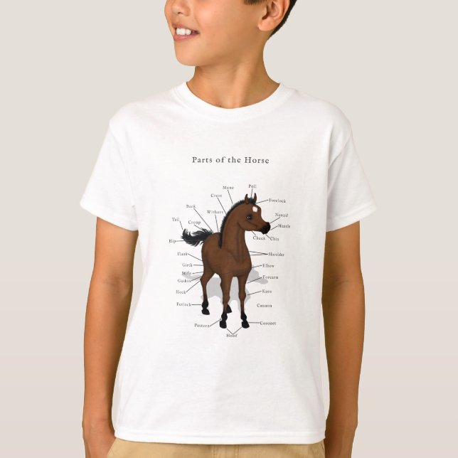 Horse Anatomy Chart on Bay Foal with Star T-Shirt (Front)
