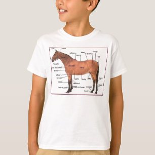 horse anatomy tee