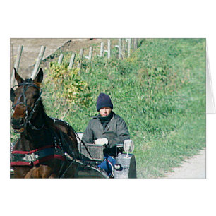 Horse and Buggy