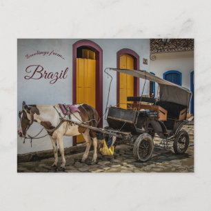 Horse and Buggy in Brazil Postcard
