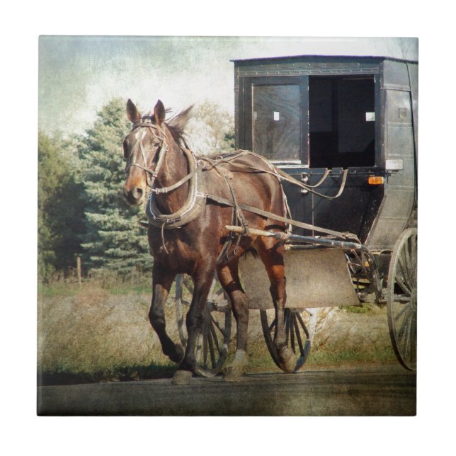 Horse and Buggy in Rural Iowa Tile (Front)