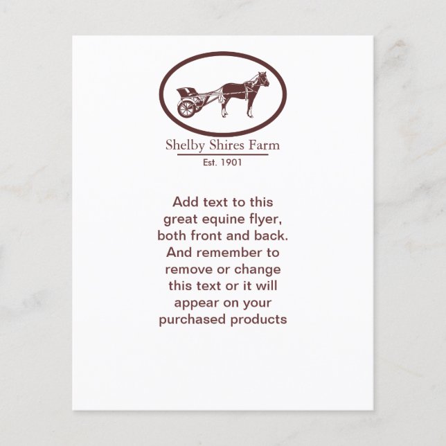 Horse and Buggy Logo Flyer (Front)