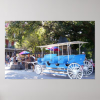 Horse and Carriage New Orleans French Quarter