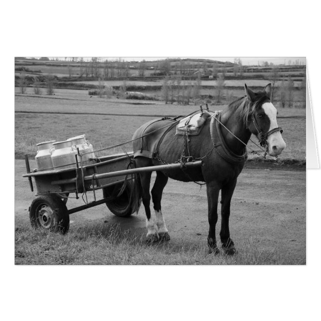 Horse and Cart (Front Horizontal)