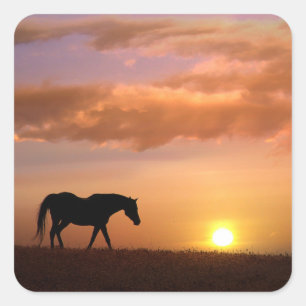 Horse and Country Sunrise Square Sticker