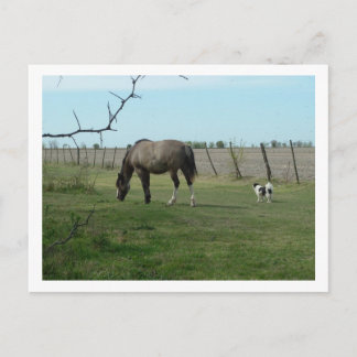 horse and dog postcard