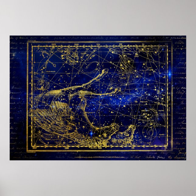 horse and dolphin constellation poster (Front)