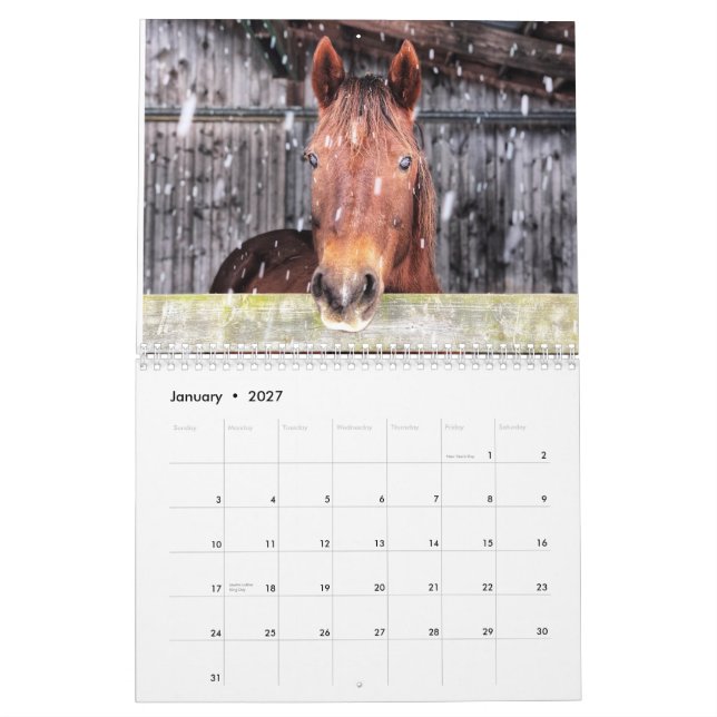 Horse and donkey calendar 2025 (Jan 2027)