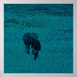 Horse and Donkey Poster