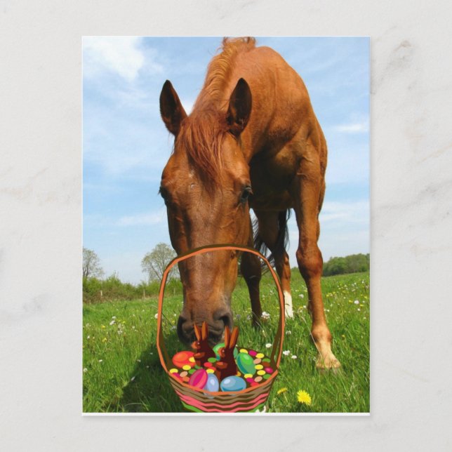 Horse and Easter Basket Postcard (Front)