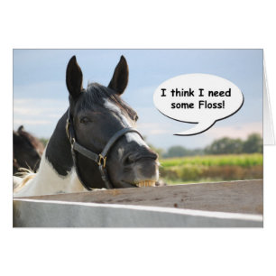 Horse and Floss