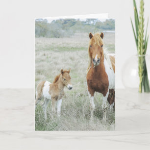Horse and Foal Country Blank Notecard
