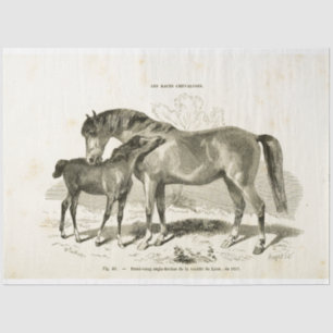 Horse and Foal Ephemera Decoupage Vintage French Tissue Paper